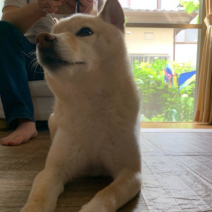 5d9dae2e 6e61 4fea b822 e9b24e8f23c1 1654385937785