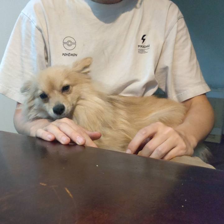 5d9dc0a0 155c 4cc3 b517 6d30b98dbe11 1745375748333