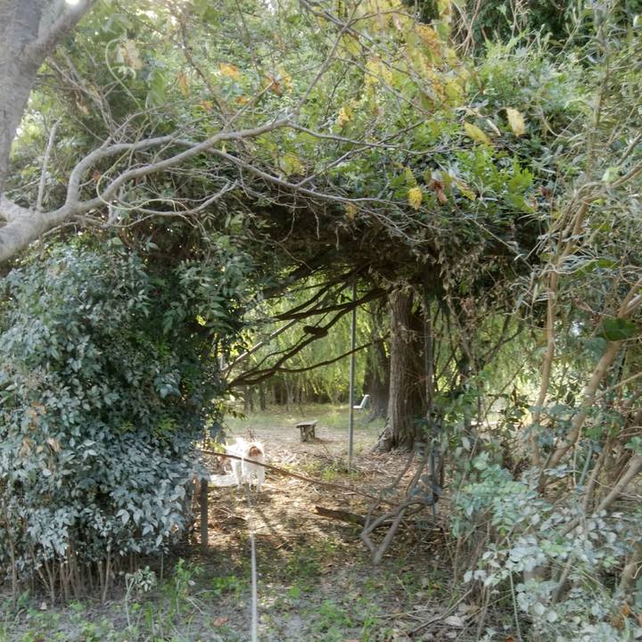 5d9e15a7 0848 4436 8bf7 738c34acbe15 1533632082416