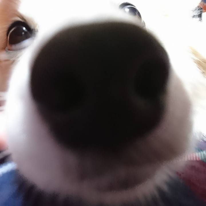 5d9e5cc2 4596 4302 9505 1b5c6acf5549 1508451326916