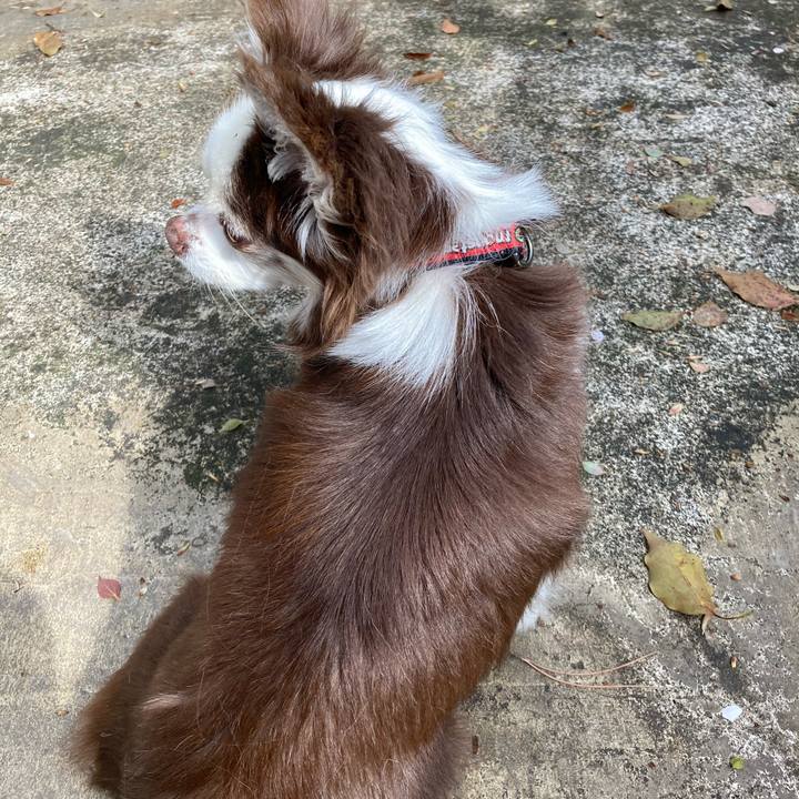 5d9e6a1e 6b2d 4bff 8445 81546f2f59ef 1651569232831