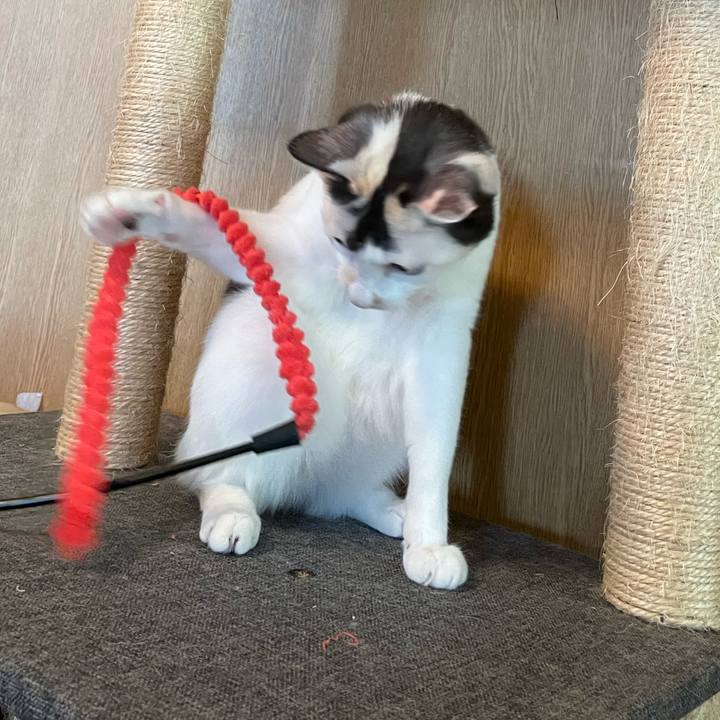 5d9ebca6 fcd3 44b3 a691 26ee09ba56a4 1728693375609