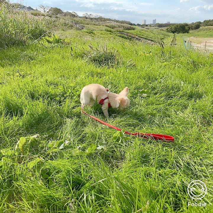 5d9ec500 e588 4fa5 af64 3ee9982783e3 1603268408439