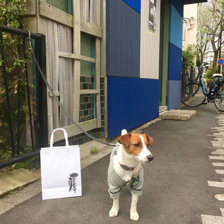 5d9ef2a5 62a5 4b65 bff3 f24577512327 1523691692126