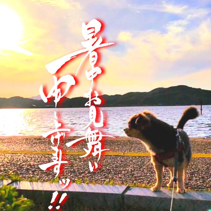 5d9f11d4 179e 4707 bcb3 d1b240fcd9a8 1752574151694