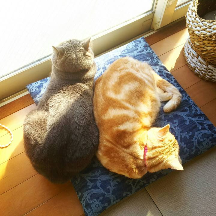 5d9f343e a44a 4528 8d65 eab31f4b1351 1518770185165