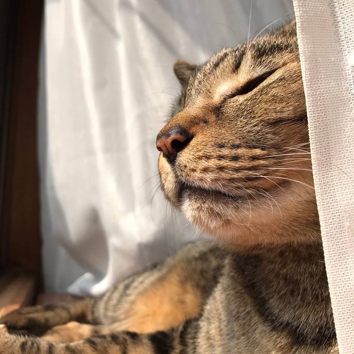 5d9f4fd0 cd83 4ced 9508 0eace32f4b8f 1522028170664