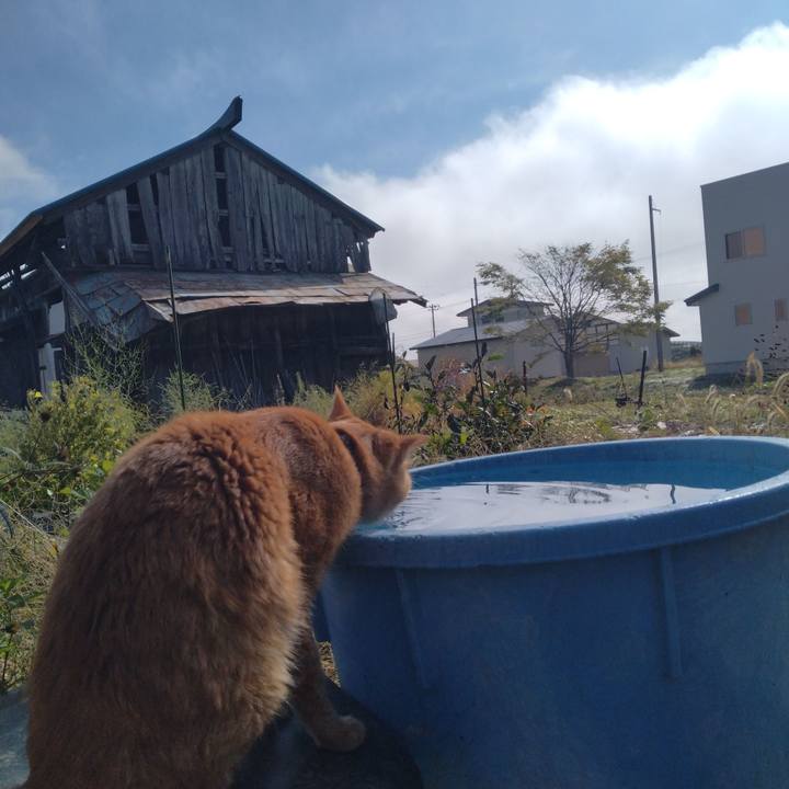 5d9f6546 96c7 4c74 a8ed 30c4bebeaa35 1666665064361