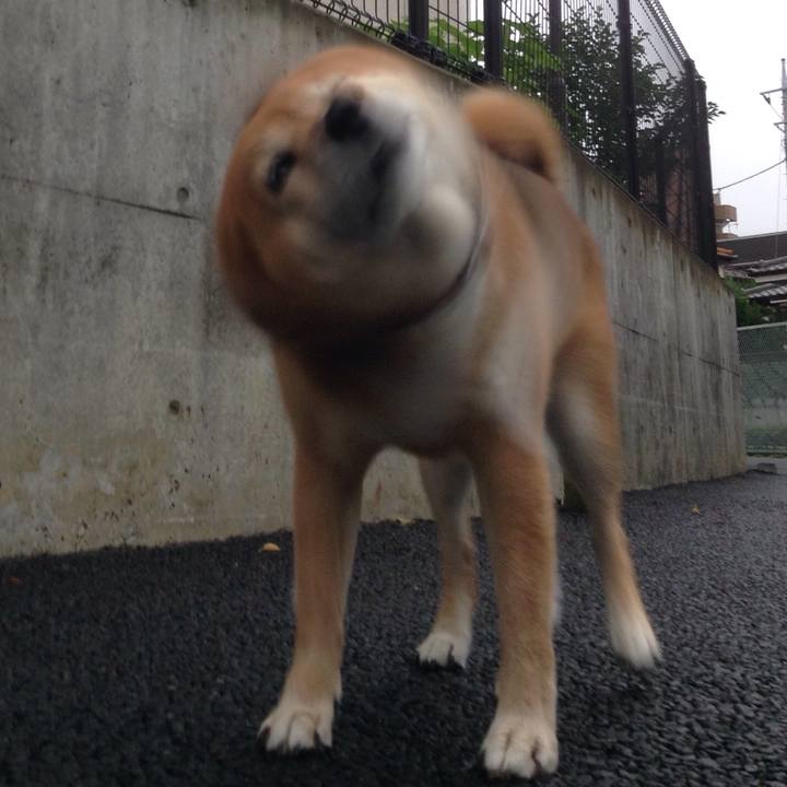 5d9f6a20 fca2 4038 8a1b be8a905e2612 1530864170455