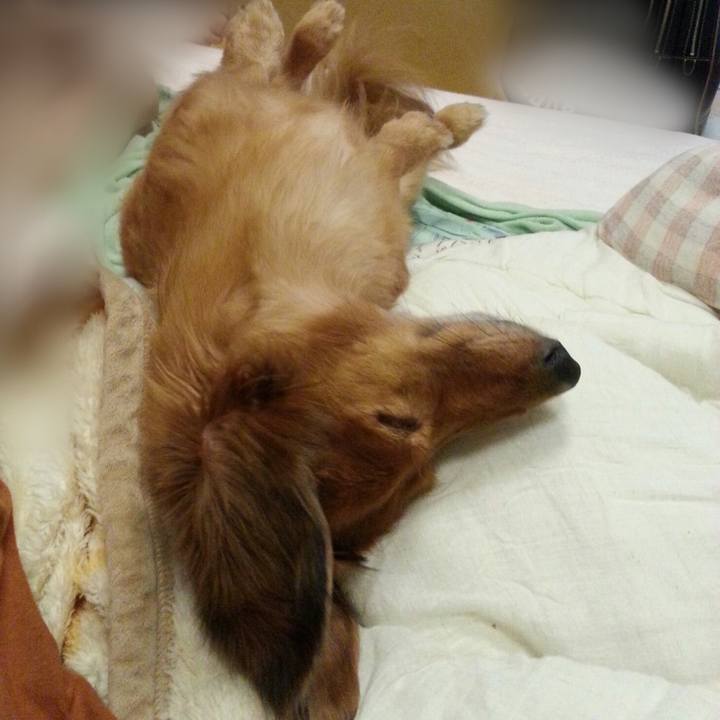 5d9f6dae 3a19 48ec 8fec 016be4a0e6a5 1537189457819