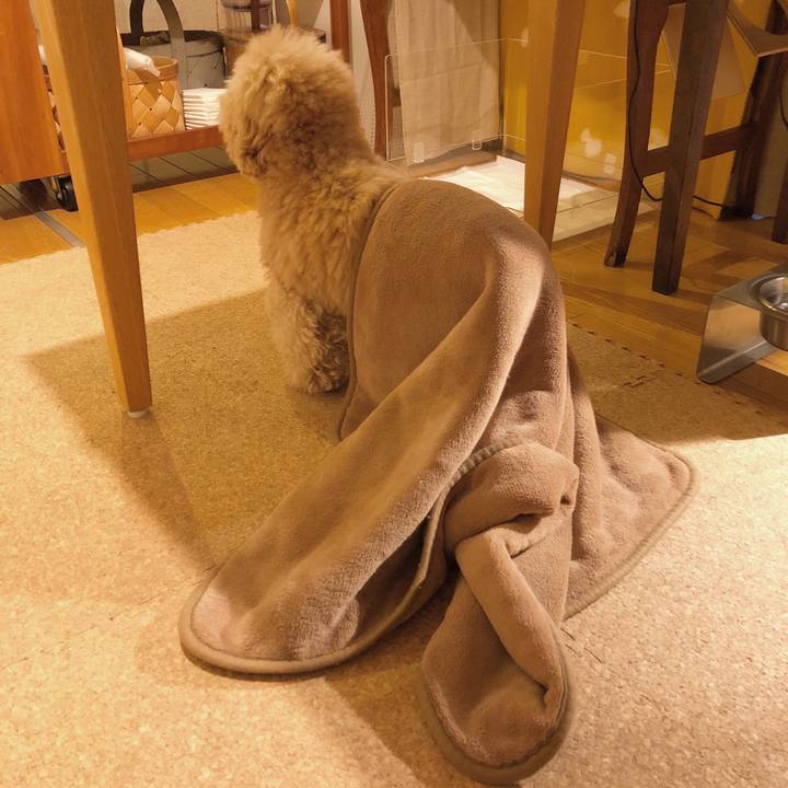 5d9f888d f9d5 4ec5 b06f f23e11a632c3 1517046781091