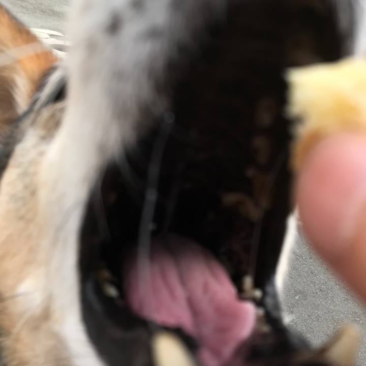 5d9fa5a3 9661 4c43 97b6 b66292b31038 1523857144123