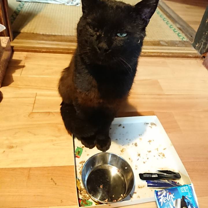 5d9fab2d e233 498b 9a80 e995c14e43b5 1625052176360