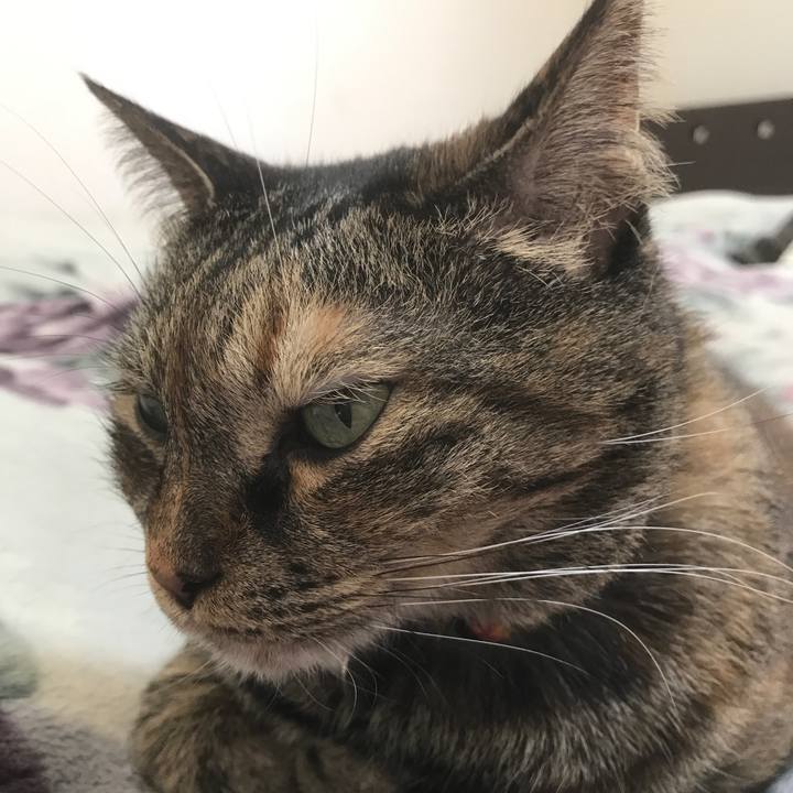 5d9fcbd7 8df0 4148 aca1 d6b207462846 1524960193003