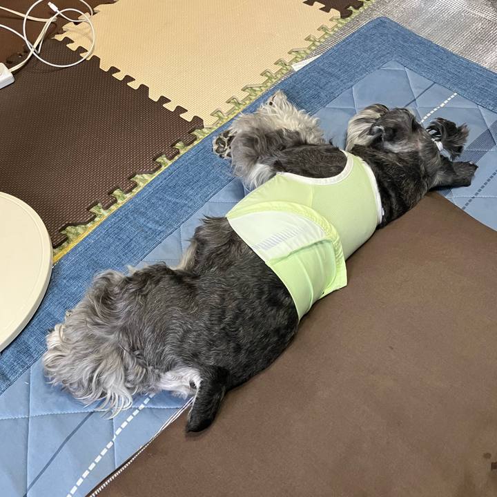 5d9fe4d3 6ac1 4350 ac0c 6e8636643a47 1721274714790