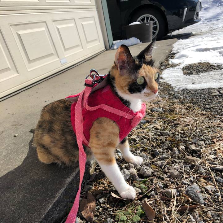 5d9ffaf5 d2d2 4ec1 9409 b5b49ef2fcd1 1549115627678