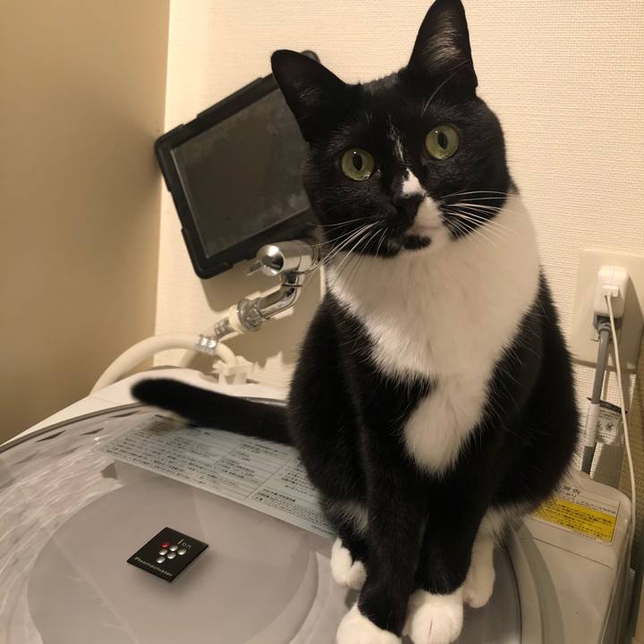 5da00f25 e44d 47f9 8540 dac5899f67e9 1579560589526