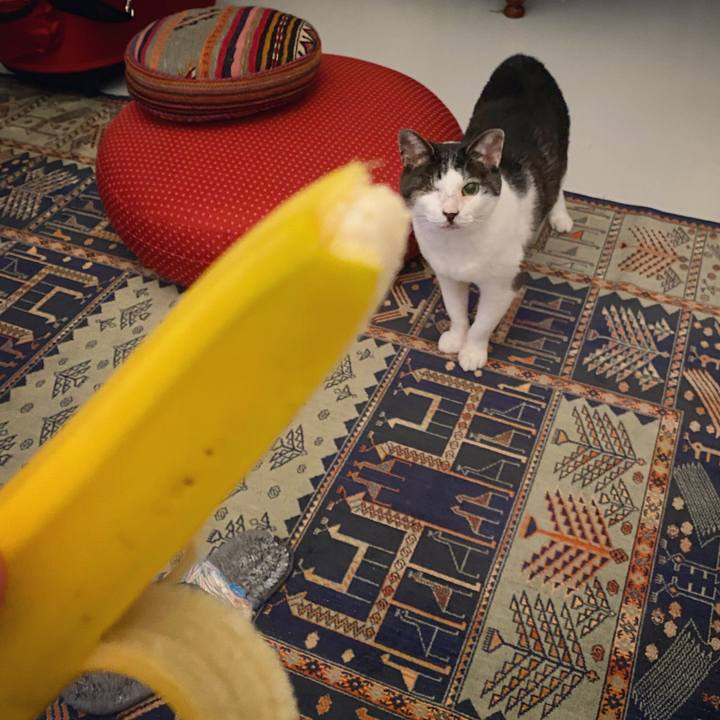 5da00fb9 fbea 4a16 b429 cd10d1615e0c 1590589863900