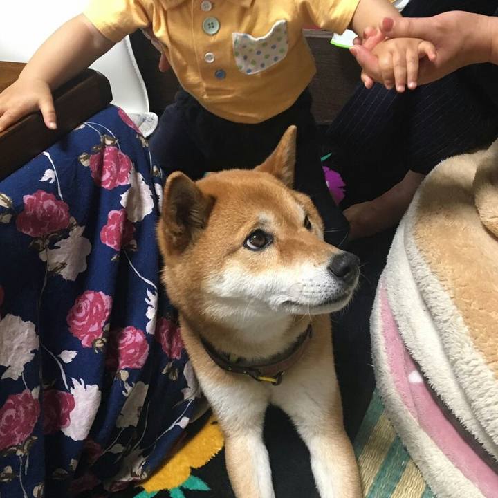 5da03668 97bb 461a 88b0 08f27de68559 1558011956628