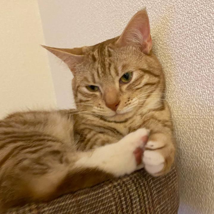 5da051f1 d4ec 4079 ad03 526c9d97bc70 1628949939413