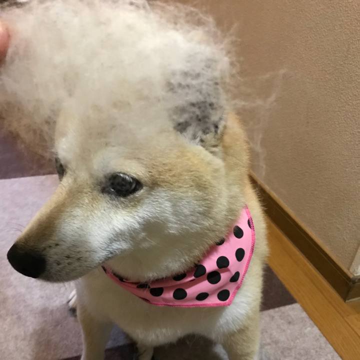 5da0ac9e fccb 49af aa72 d95ef7f5cbe4 1527862078744