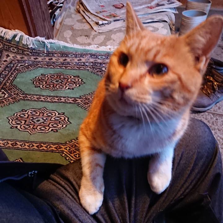 5da10db1 c98c 42ec a7eb 0bb778d5544f 1583226286990