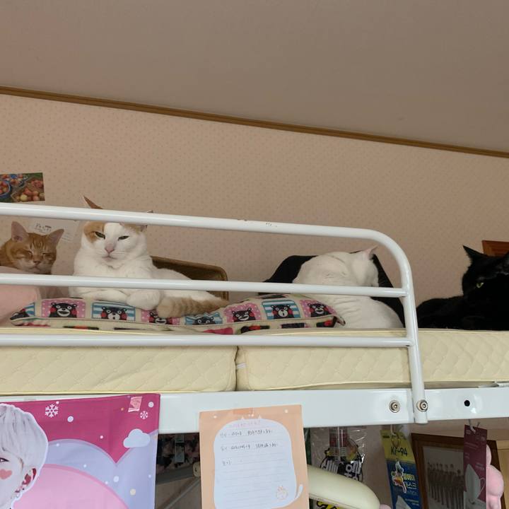 5da12003 5301 492d 815b 5979eaee8439 1623570041841