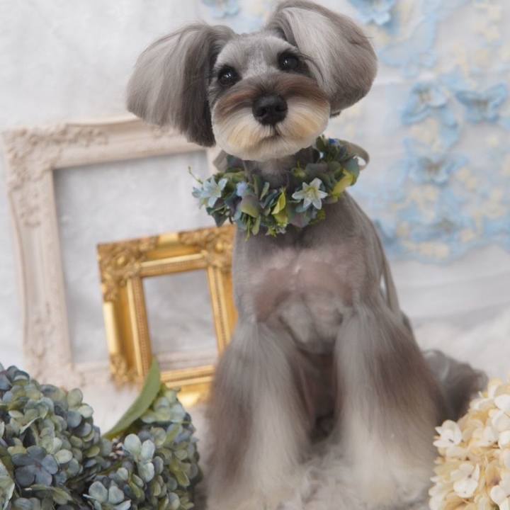 5da142b2 90b7 49e0 ab27 08f1a87d4e4a 1719706229934