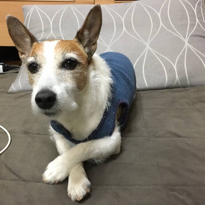 5da146a3 0dde 4fd0 abde fa950c8e5215 1617751741408