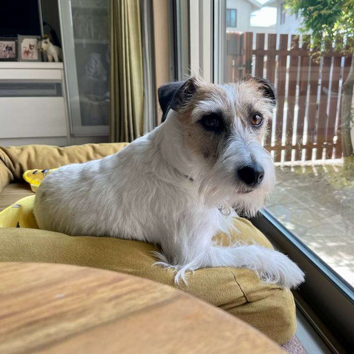 5da1b6dc 0056 4a60 ba05 55c449045498 1652144483920