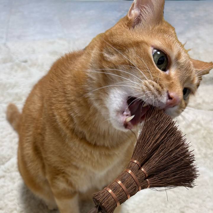 5da1d7df d136 4bbc 9b78 d5e4b81e441e 1758748951433