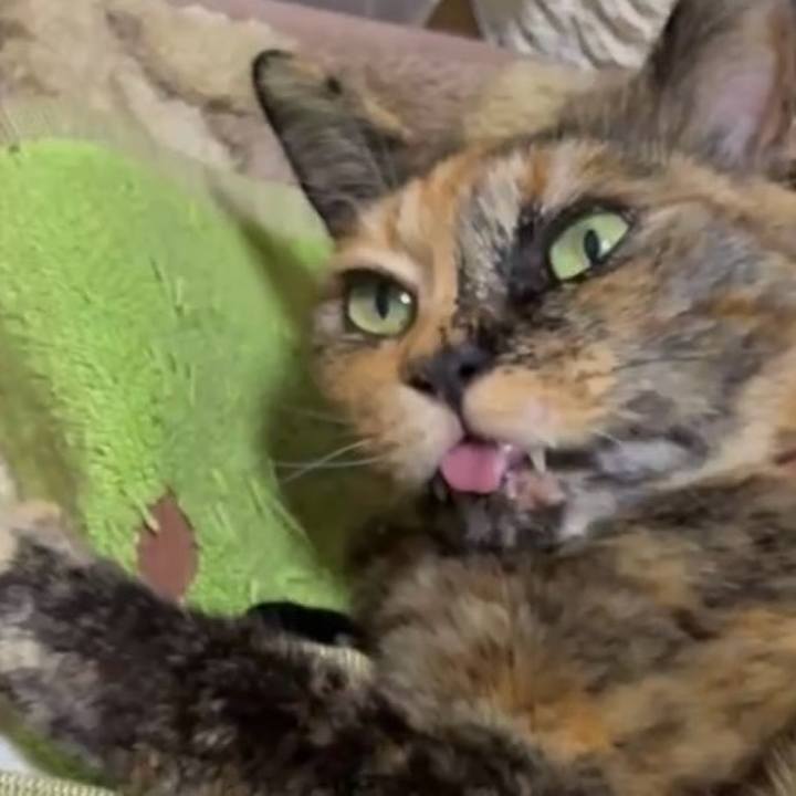 5da1eb7a 8a5c 4c82 a98f 8c062c472461 1745613659365