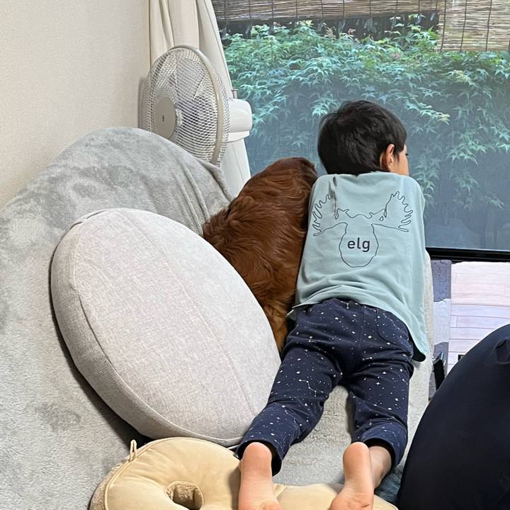 5da1ef63 5d70 413d b4c0 cf3d054021af 1683195213791