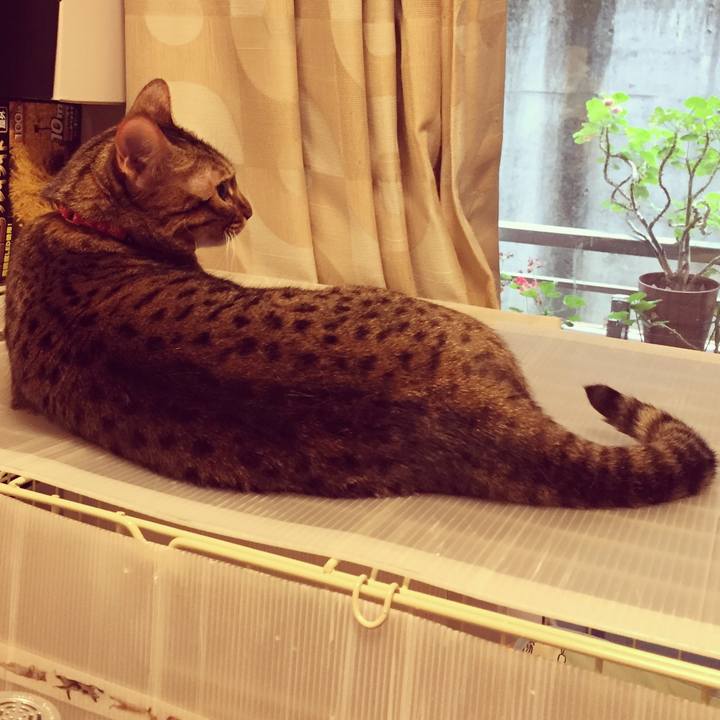 5da1f7a2 159b 4260 bf39 fe2194aa61a1 1531696038135