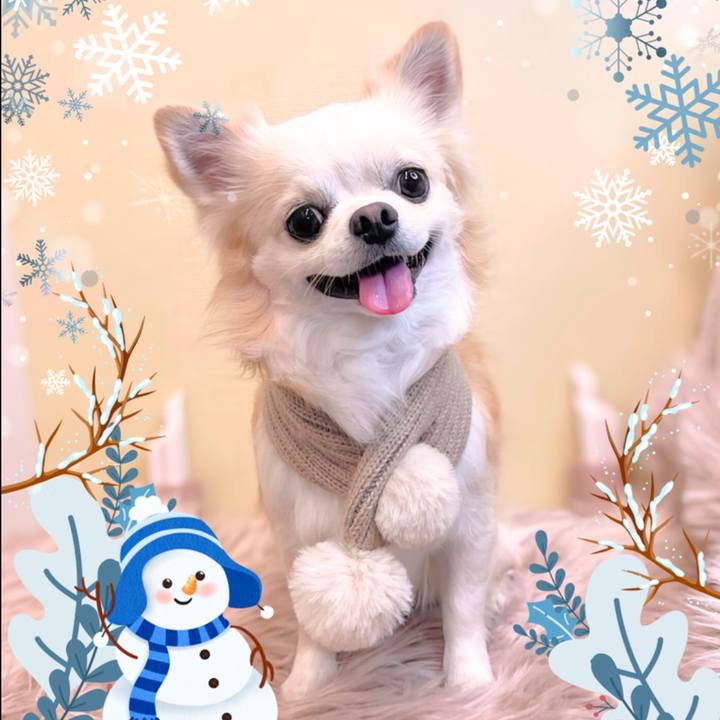 5da20cce d6df 4daa 857d ecdb2b508db3 1764910444756