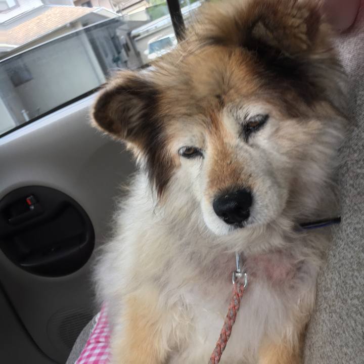 5da2288b 502e 4419 9fb0 6ceabddf1472 1554419555528