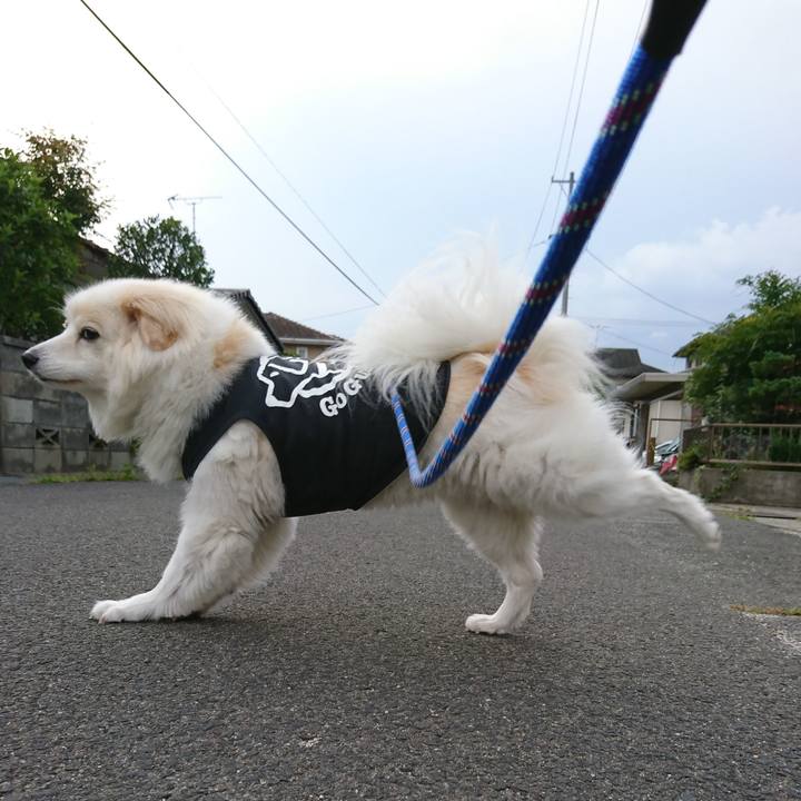 5da23ec5 52dd 4397 bff9 606d566dee87 1537589211910