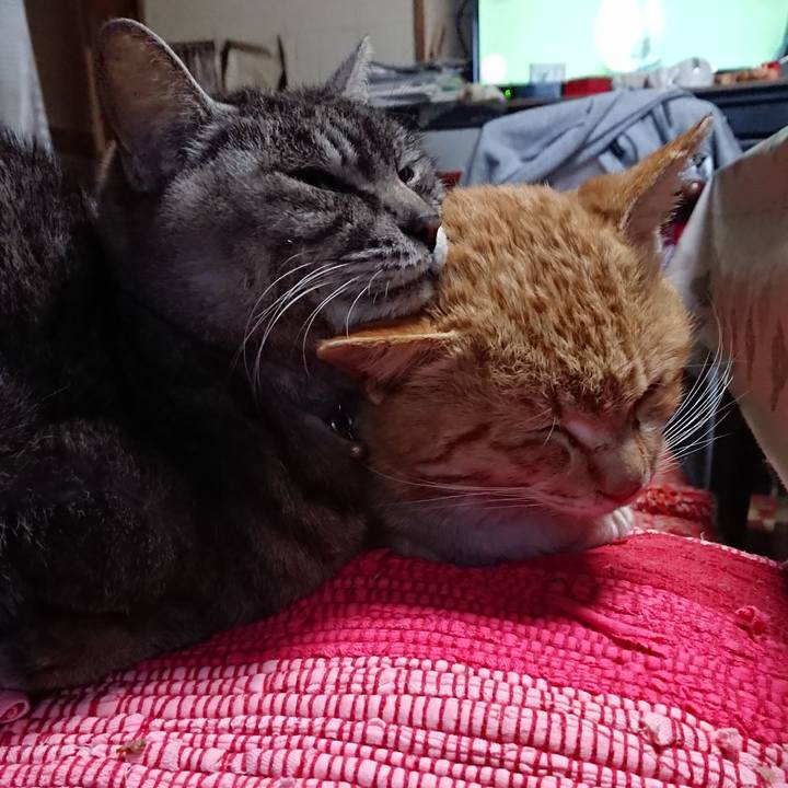 5da284df a1c1 4d2d a57e 11b9e6163a8b 1554929115857