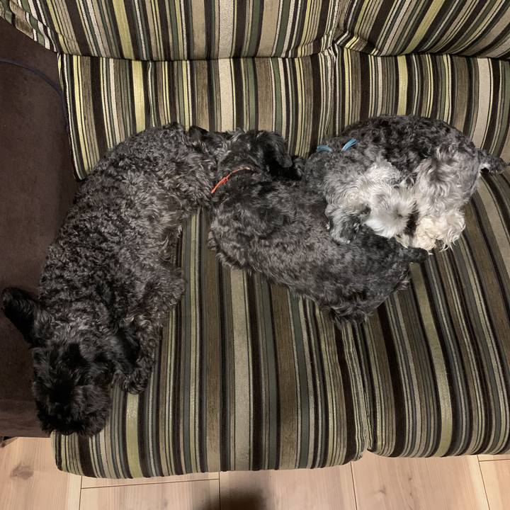 5da29ab0 8186 44d3 b00a 58618b6759a4 1594736159601