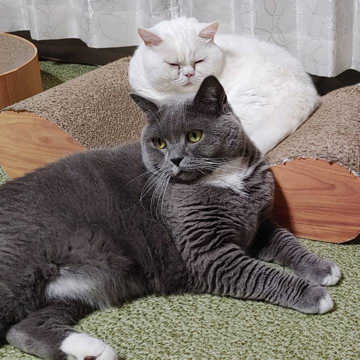 5da2f08d 406e 4b6c ba3d 8d6212fcea06 1661512836546