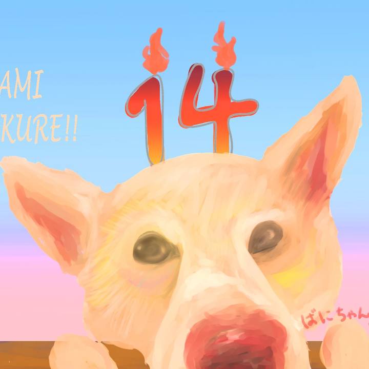 5da32fa2 4b6b 440f 877f c72cafaf7d77 1643727476739