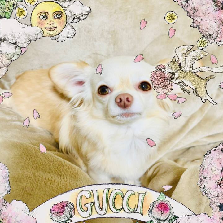 5da344cc 656c 4195 9abf 7840925709ec 1678266585379