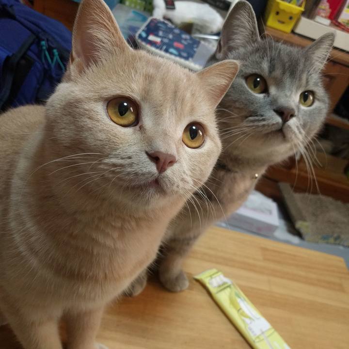 5da35f02 ae6a 4988 9123 44cd4236476c 1539160821739