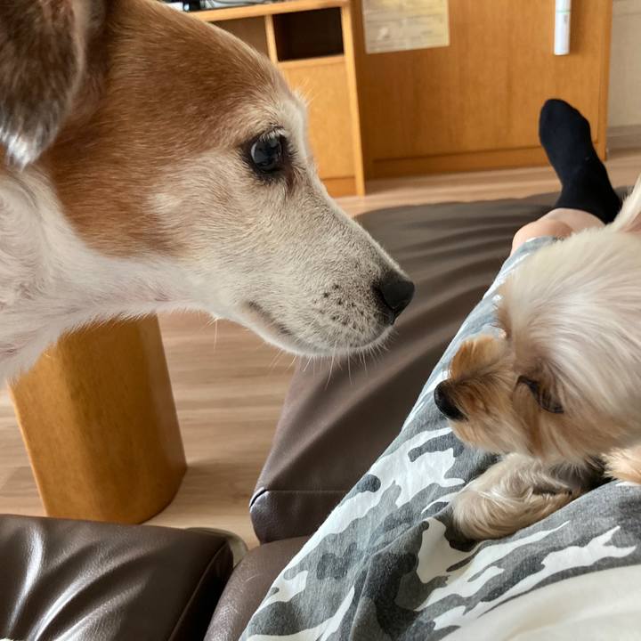 5da37135 6a17 42d4 9a1a 87cfc411fa24 1602685132380