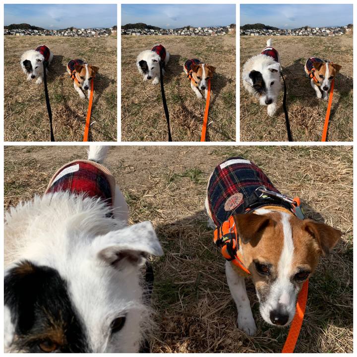 5da37ce9 0cf6 4aec b979 0b4067a3a618 1548638959771