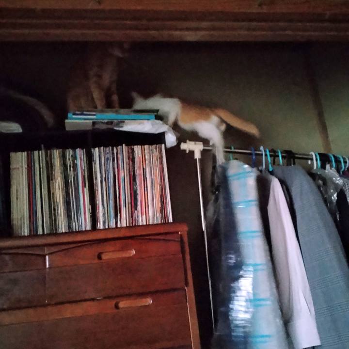 5da37da8 e748 47f6 b4a6 f181b2a8d075 1725918997948