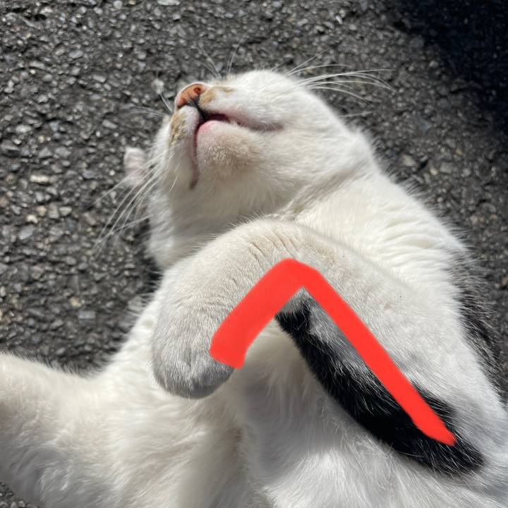 5da381ac 1753 46bd b90c 66f28de9a110 1686127636614