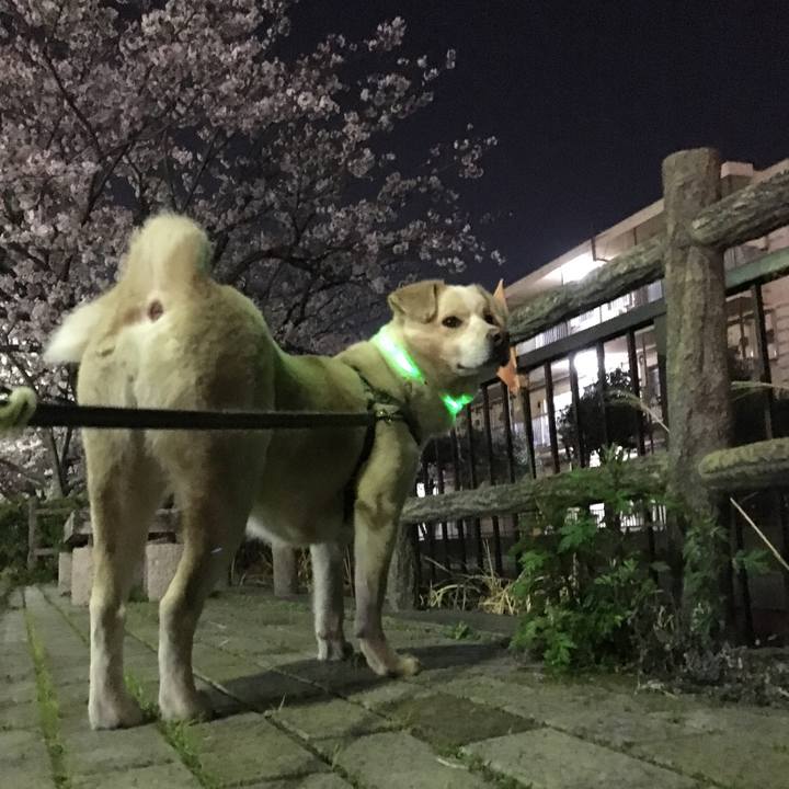 5da3836d 02bd 44d1 9f3b 21776a8fdbe0 1522146819976