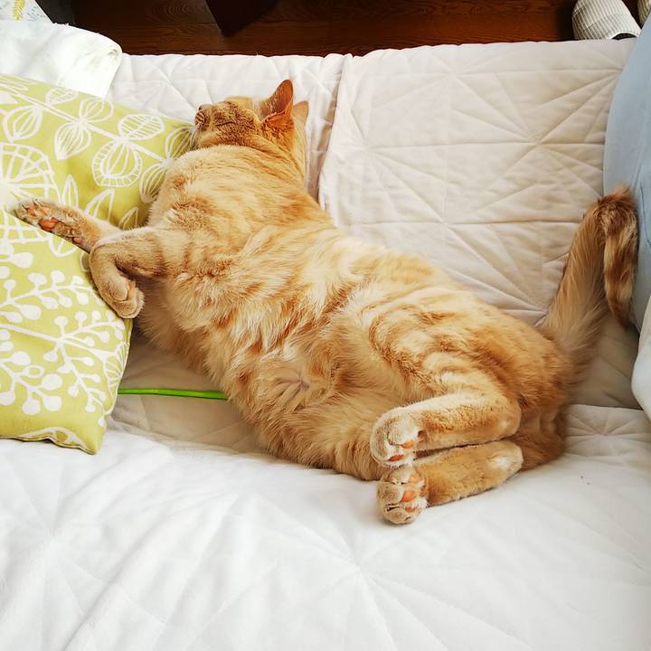 5da38648 2f3d 442e 98d2 662c63170521 1622873591709