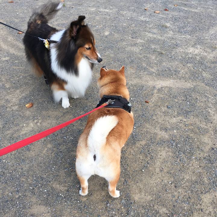 5da3aa27 808c 4c46 9de8 b0ae5f995310 1597448869008